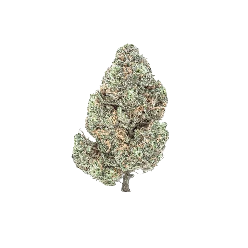 Blue Dream THCA Flower
